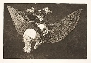 Den flyvende dårskab (Giv afkald på den ven, som skjuler dig under sine vinger og bider dig med sit næb) by Francisco de Goya