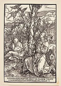 Den Hellige Frans modtager sine sår by Albrecht Dürer