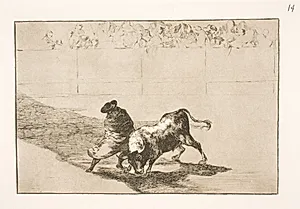 Den meget talentfulde elev fra Falces, hyldet i sin kappe, narrer tyren med sin krops bevægelser by Francisco de Goya