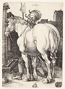 Den store hest by Albrecht Dürer