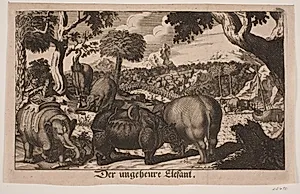 "Der ungeheure Elefant"