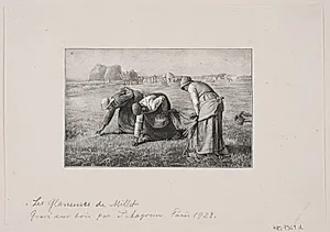 Des glaneuses