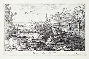 Døbel (Cortus) by Albert Flamen