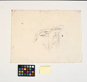 Draperistudie by Johann Caspar Weidenmann