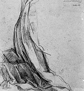 Portrait of Antonio Cimatori