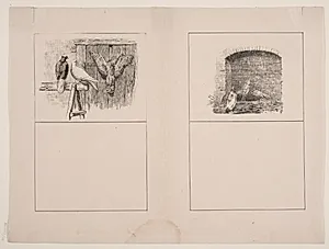 Duerne; Hønsene og ænderne by Adolph Kittendorff