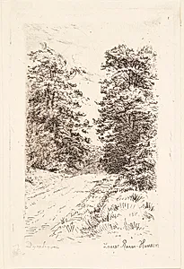 Dyrehaven