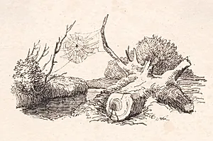Edderkoppen by Johan Thomas Lundbye