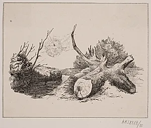 Ederkoppen by Adolph Kittendorff