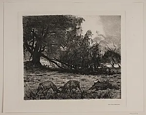 Efterår. Kæmpende hjorte by Thorvald Niss