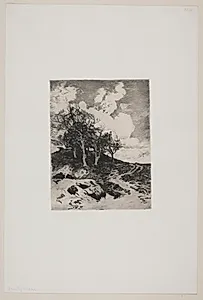 Efterår. Vindblæste træer by Thorvald Niss