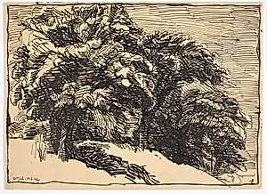 Egetræer på en brink by Christian Kongstad Petersen