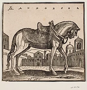 Elegant opsadlet hest, profil mod højre, på en rektangulær plads
