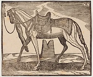 Elegant opsadlet hest, tøjret ved v. indramningslinje, profil mod v.; under hestens bug ses en ruineret by Melchior Lorck