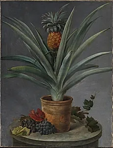 En ananas i urtepotte og druer på et stenbord