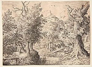 En bæk i en skov by Allaert van Everdingen
