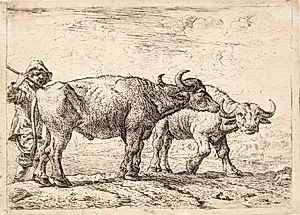 En bonde driver to bøfler frem by Pieter van Laer