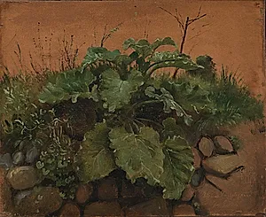 En burreplante og andre vækster på et stengærde by Johan Thomas Lundbye