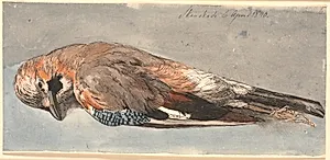 En død skovskade by Johan Thomas Lundbye