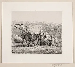 En fåreflok by Johannes Wilhelm Zillen