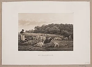 En fåreflok by Adolph Kittendorff