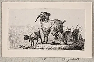 En flok geder by Johannes Wilhelm Zillen