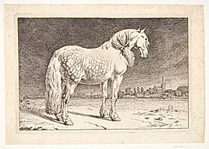En frieserhest by Paulus Potter
