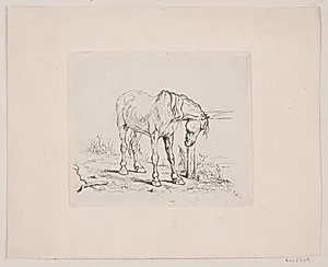 En gammel hest by Valdemar Irminger
