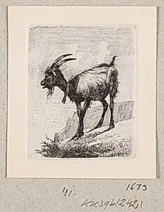 En ged med klokke by Johannes Wilhelm Zillen