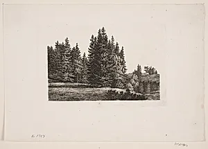 En grandskov by Søren Henrik Petersen