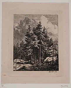 En granskov by Hermann Carmiencke
