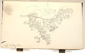 En gren med løv by P.C. Skovgaard
