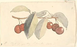 En gren med paradisæbler. by P.C. Skovgaard