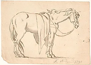 En hest med dækken på by Nicolai Abildgaard