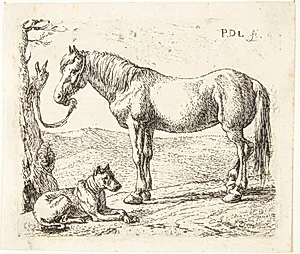 En hest og en hund