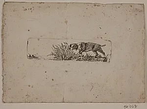 En hønsehund by Christian David Gebauer