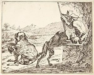 En hund, som drikker