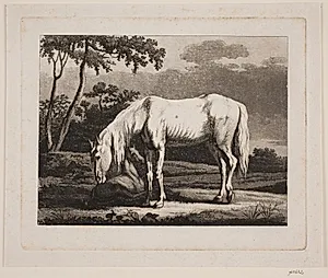 En hvid hoppe og et liggende føl by Christian David Gebauer