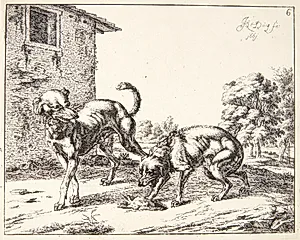 En jaloux hund