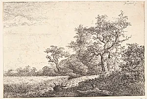 En kornmark by Jacob Isaacksz. van Ruisdael