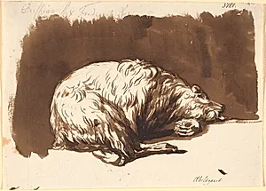 En liggende bjørn by Nicolai Abildgaard