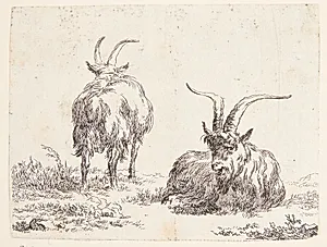 En liggende ged og en stående ged set bagfra by Nicolaes Berchem