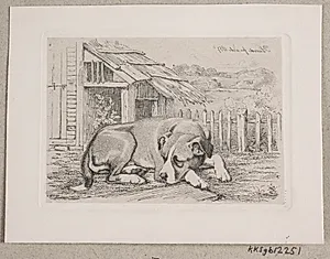 En liggende hund