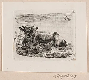 En liggende ko by Johannes Wilhelm Zillen