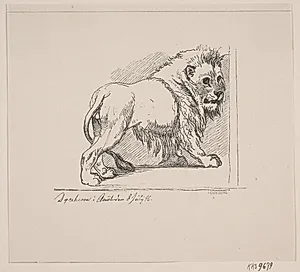 En løve i dyrehaven i Amsterdam 8. juli 1846