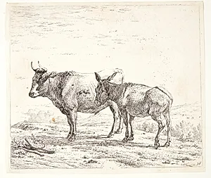 En okse og et æsel by Karel Du Jardin