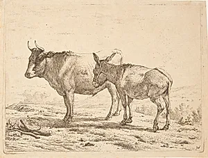 En okse og et æsel by Karel Du Jardin