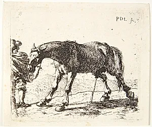 En pissende hest