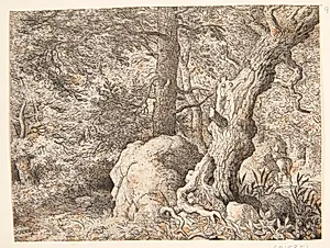 En skov by Allaert van Everdingen