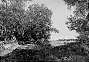 En sommermorgen ved Dyrehavehegnet i Ordrup Krat by Thorald Brendstrup